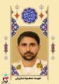 زندگی‌نامه شهید مسعود نارویی